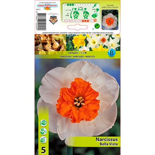 Narcissus Bella Vista interface.image 1 interface.art 67640