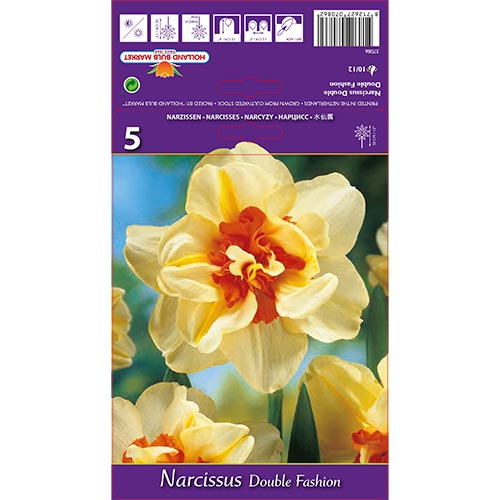 Narcissus Double Fashion interface.image 1 interface.art 67413