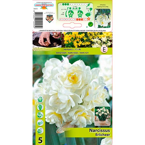 Narcissus Erlicheer interface.art foto 1 Narcissus Erlicheer interface.image 1 interface.art 70285