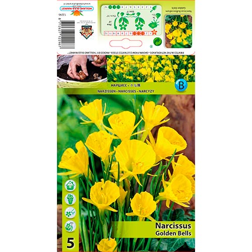 Narcissus Golden Bells interface.art foto 1 Narcissus Golden Bells interface.image 1 interface.art 68069