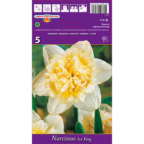 Narcissus Ice King interface.image 1 interface.art 67415