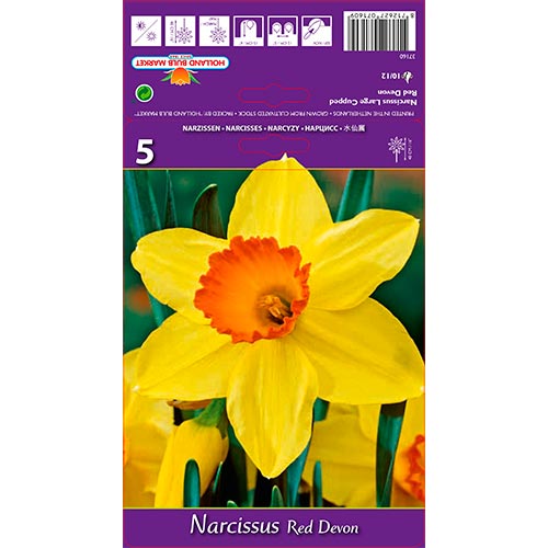 Narcissus Red Devon interface.art foto 1 Narcissus Red Devon interface.image 1 interface.art 67659