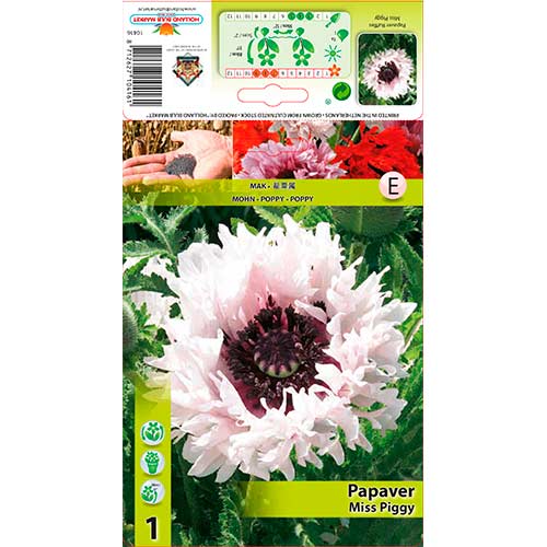 Papoula Ruffles Miss Piggy Ruffles interface.art foto 1 Papoula Ruffles Miss Piggy Ruffles interface.image 1 interface.art 76343