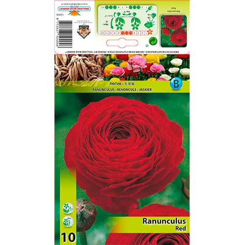 Ranunculus (Ranúnculo Asiático) Red interface.image 1 interface.art 76359