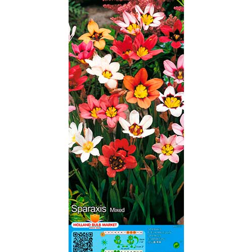 Sparaxis, mixed interface.art foto 1 Sparaxis, mixed interface.image 1 interface.art 76500