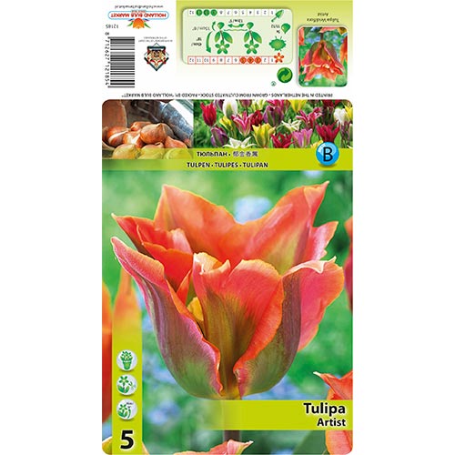 Tulip Artist interface.art foto 1 Tulip Artist interface.image 1 interface.art 68401