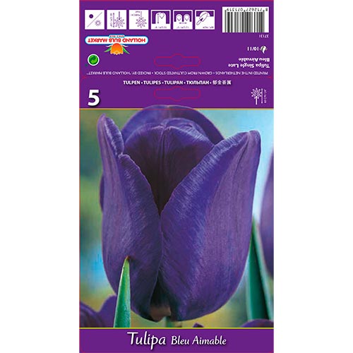 Tulip Blue Amaible interface.image 1 interface.art 67705