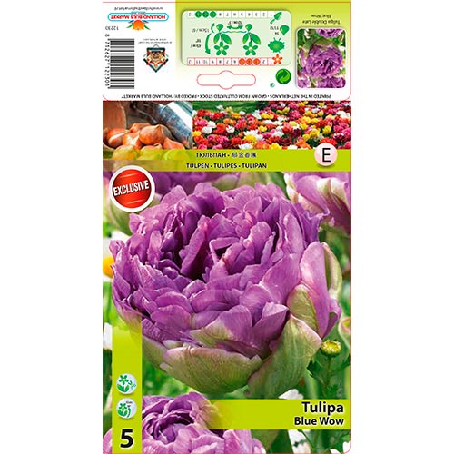 Tulip Blue Wow interface.art foto 1 Tulip Blue Wow interface.image 1 interface.art 67701