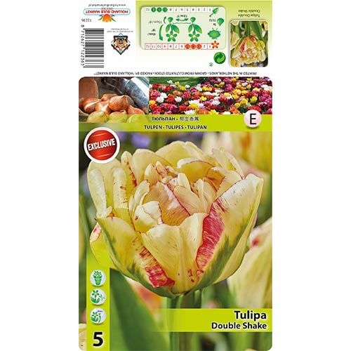 Tulip Double Shake interface.art foto 1 Tulip Double Shake interface.image 1 interface.art 68404