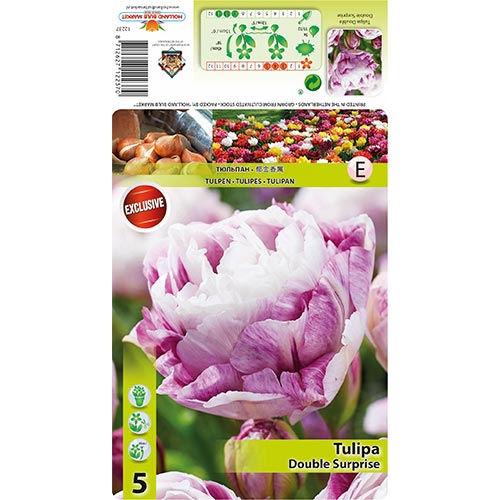 Tulip Double Surprise interface.art foto 1 Tulip Double Surprise interface.image 1 interface.art 68405