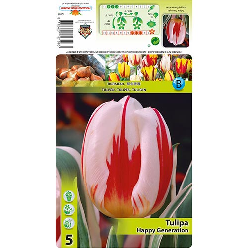 Tulip Happy Generation interface.art foto 1 Tulip Happy Generation interface.image 1 interface.art 68049