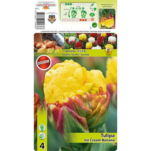 Tulip Ice Cream Banana interface.image 1 interface.art 68402