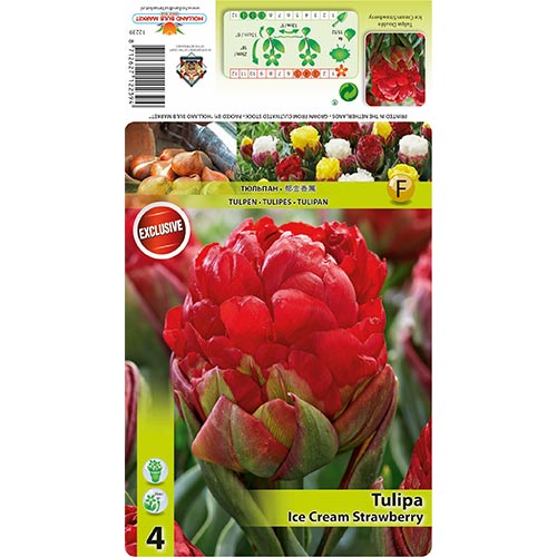Tulip Ice Cream Strawberry interface.art foto 1 Tulip Ice Cream Strawberry interface.image 1 interface.art 68403