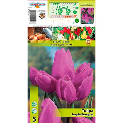 Tulip Purple Bouquet interface.image 1 interface.art 67809