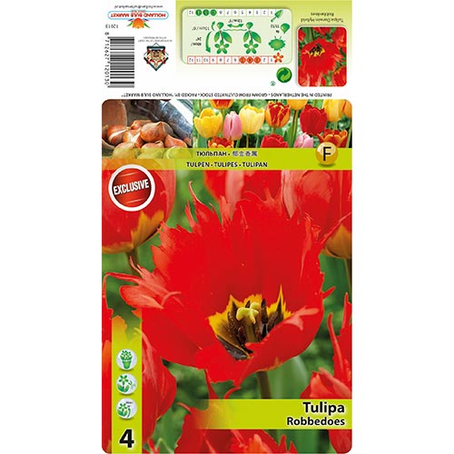 Tulip Robbedoes interface.art foto 1 Tulip Robbedoes interface.image 1 interface.art 68399