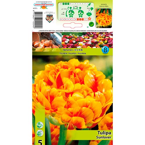 Tulip Sunlover interface.art foto 1 Tulip Sunlover interface.image 1 interface.art 68042