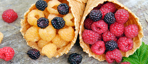 Bagas doces | GradinaMax