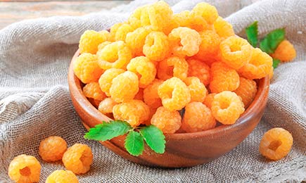 Bagas doces | GradinaMax