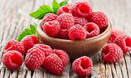 Sobremesa enriquecida com vitaminas | GradinaMax