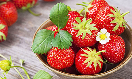 Doçura sumarenta | GradinaMax