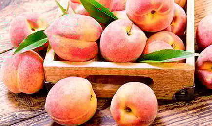 Grande, seco, doce | GradinaMax