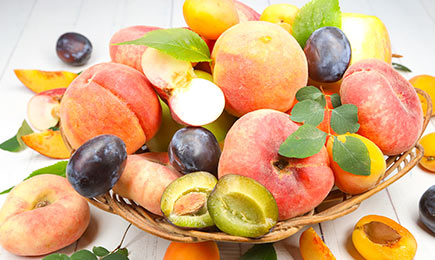 Mini jardim e terraço | GradinaMax