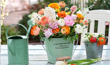 NEW SEASON 2026 | GradinaMax