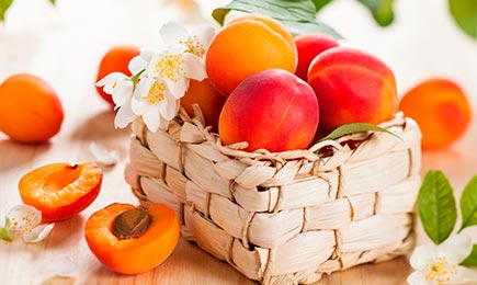 O sonho de um gourmet | GradinaMax