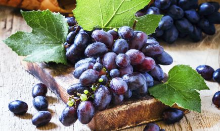 Rico em sabor | GradinaMax