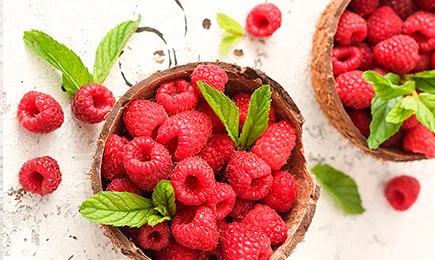 Sobremesa enriquecida com vitaminas | GradinaMax