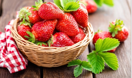 Sobremesa incomum | GradinaMax