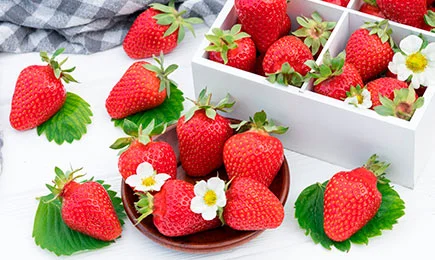 Sobremesa incomum | GradinaMax