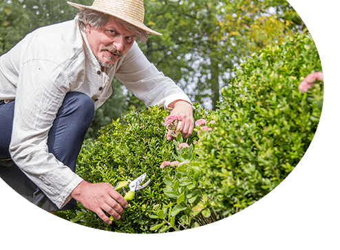 Catálogo - Plantes ornementales - GradinaMax Portugal